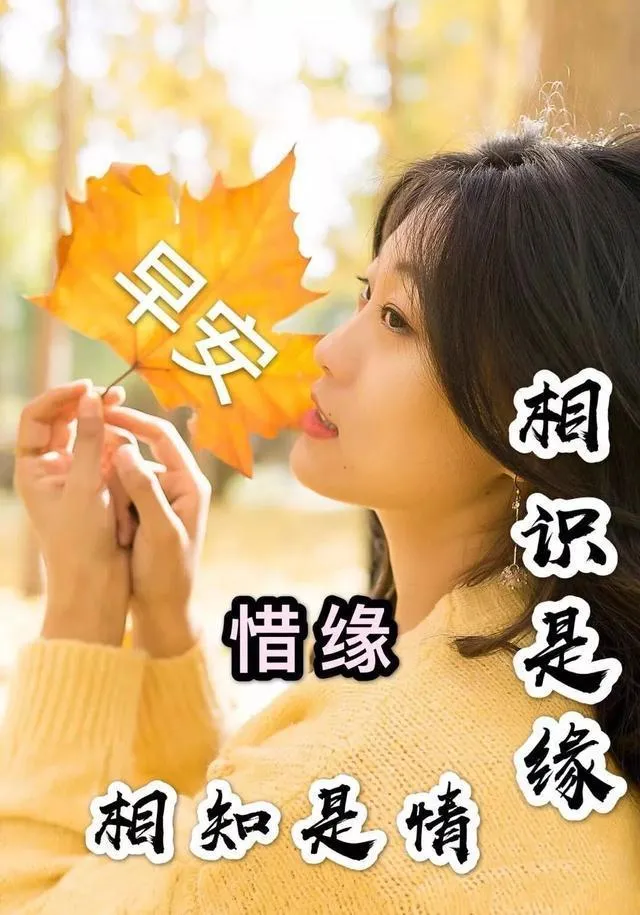 早晨安好：好朋友是路，越走越宽；好朋友是福，吉祥无边，早上好