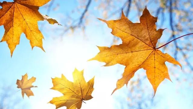 我国长江中下游地区,特别是9月份和10月份,天空常是万里无云,雨量和雨