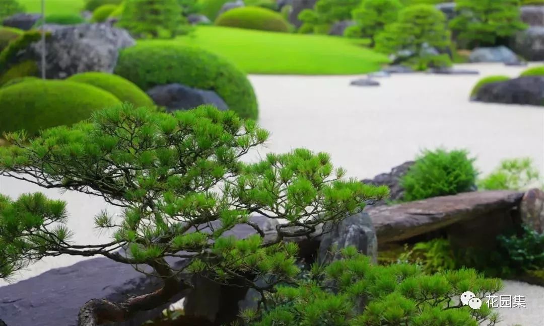 花园里的小空间，不妨打造成禅意景观，让它满足你的所有花园幻想