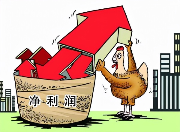 利润毛利净利润的区别毛利润和净利润区别