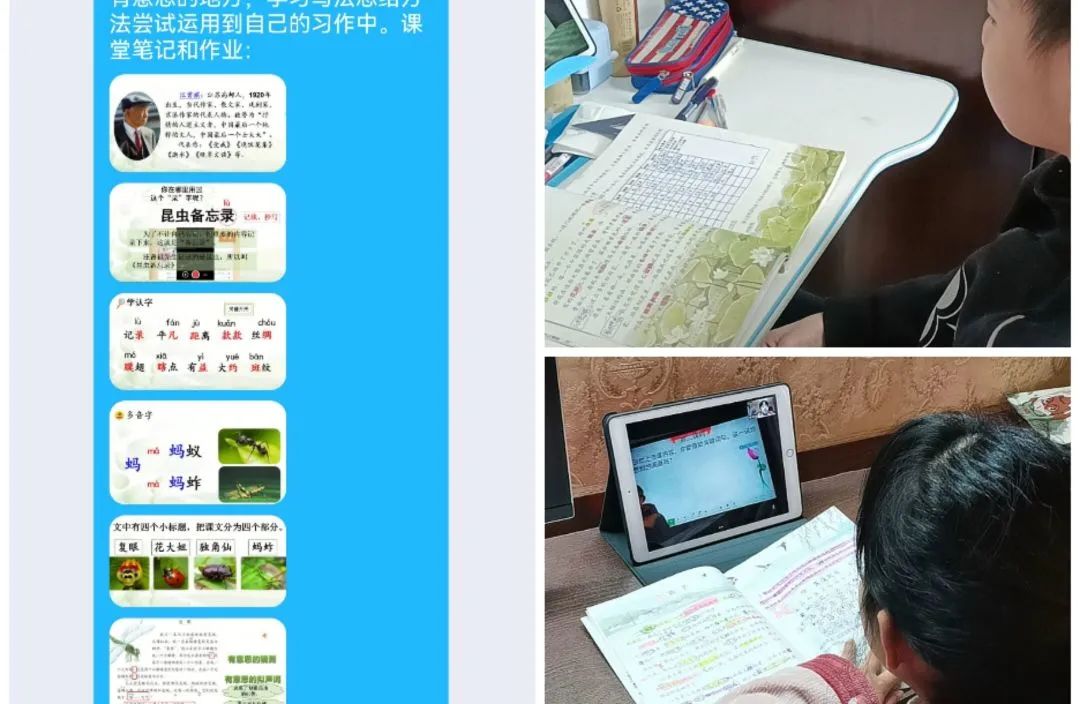 家长担忧网课效果？多校发布居家线上学习建议