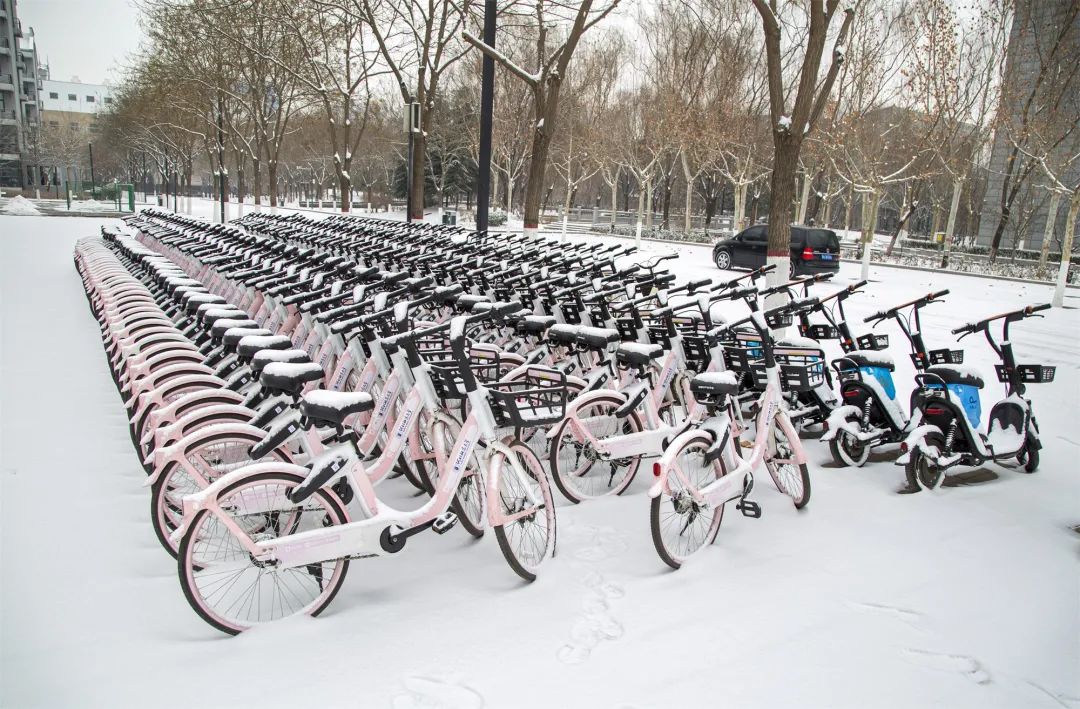 开年瑞雪，师大校园寂静如诗