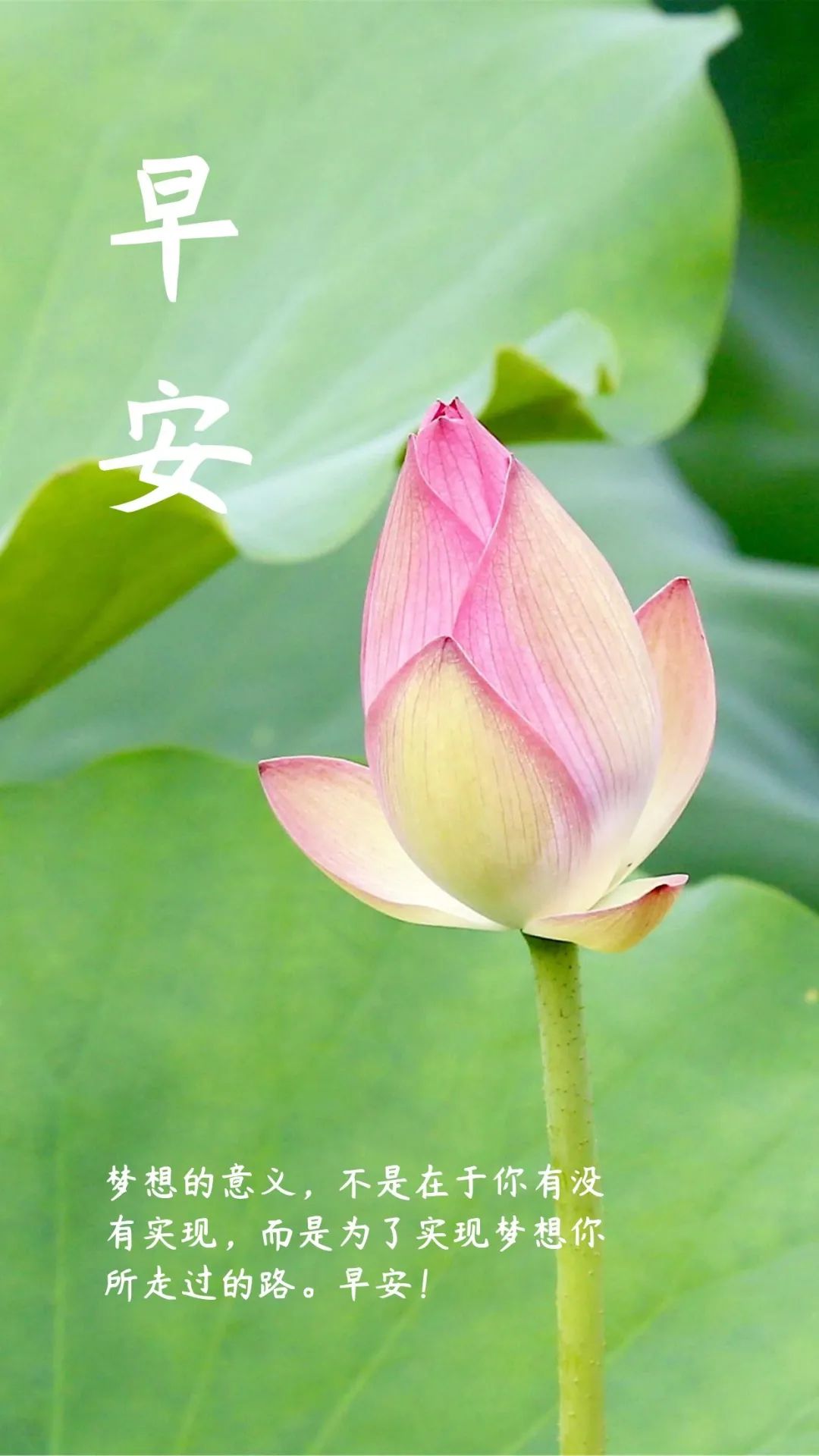 周日早上好祝福语图片 早上好问候句子 早上好天天都有好心情图片