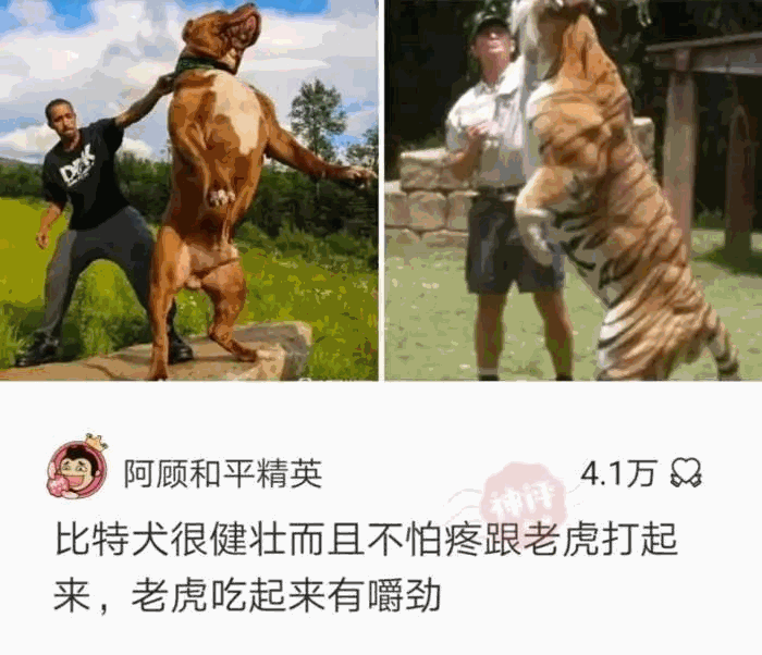 吃个泡面代价也太大了吧，还要有苹果手机才能吃