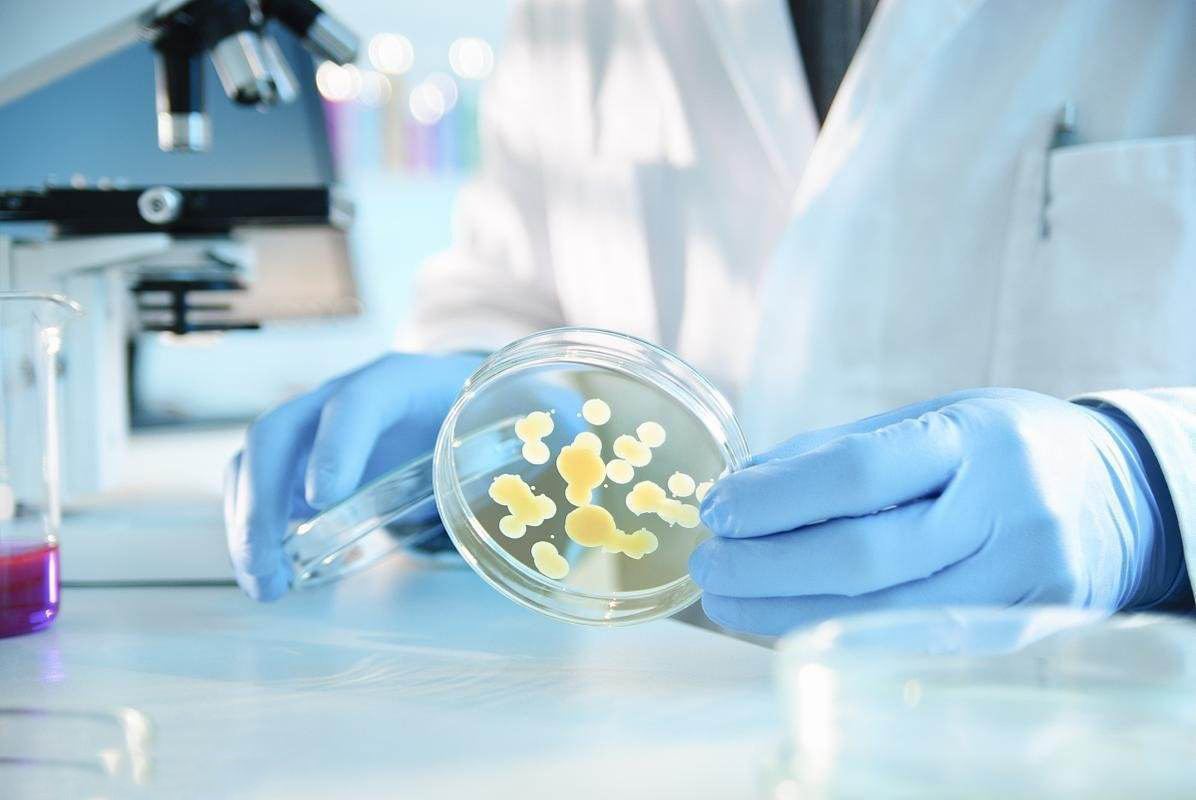 清华口碑直线下降，施一公辞职创校：清华70%的高考状元都去哪了?