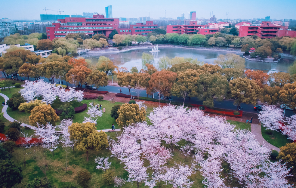 什么是双一流大学？双一流和211哪个好？看完就明白了（附名单）