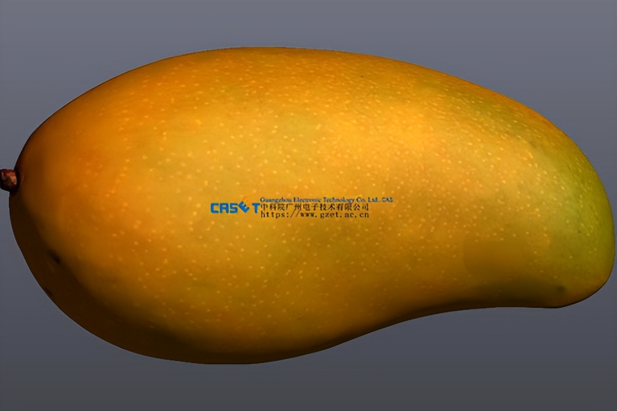 广东彩色三维扫描仪扫描果实水果彩色三维模型数据