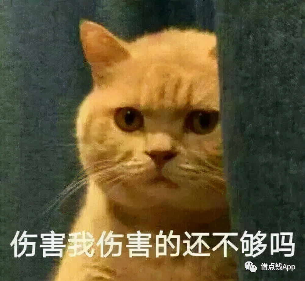 紧急联系人被催收骚扰应该怎么办？