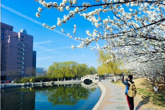 2022年艺术类招生540人，山东理工大学艺术类专业报考难度解析