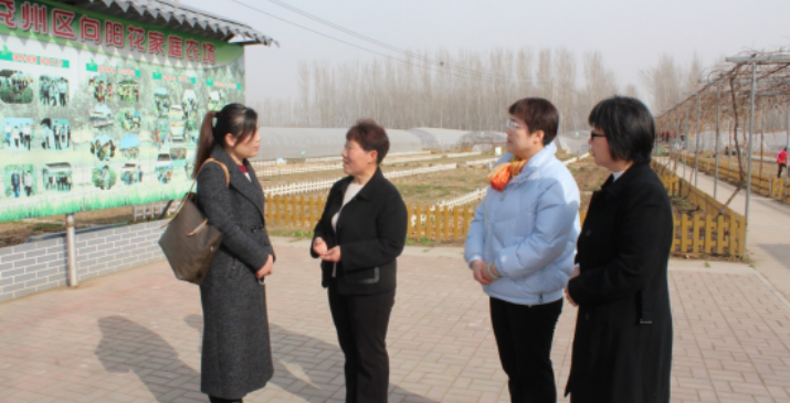 济宁市“三八”妇女节普法活动特辑