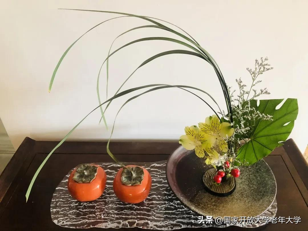 在校园·良作 | 不仅是艺术，更是生活！——《插花初级班》师生作品