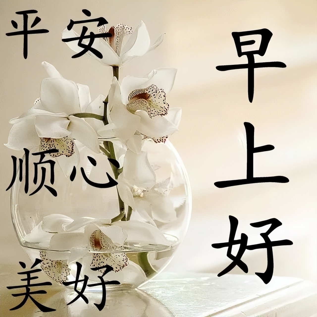 早安问候语 每日更新早上好的动态表情包 淡然的心态，是人生的成熟图片