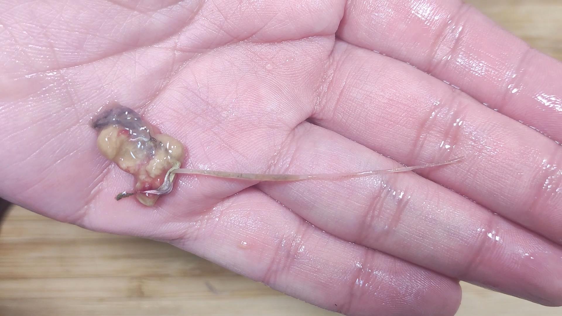 虾囊和虾线如何简单去除?焖虾料汁详细配方