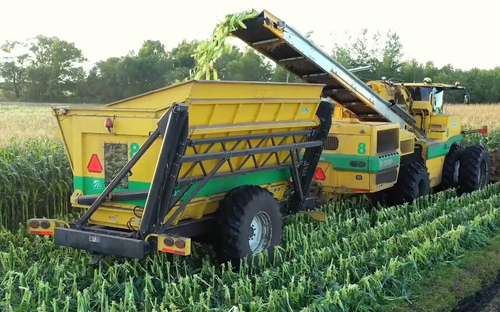 美国玉米收购价格只要几毛钱一斤,为什么这么便宜?--信租财经