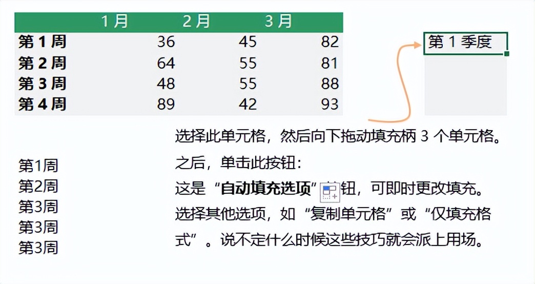 自动填充单元格以节省时间 