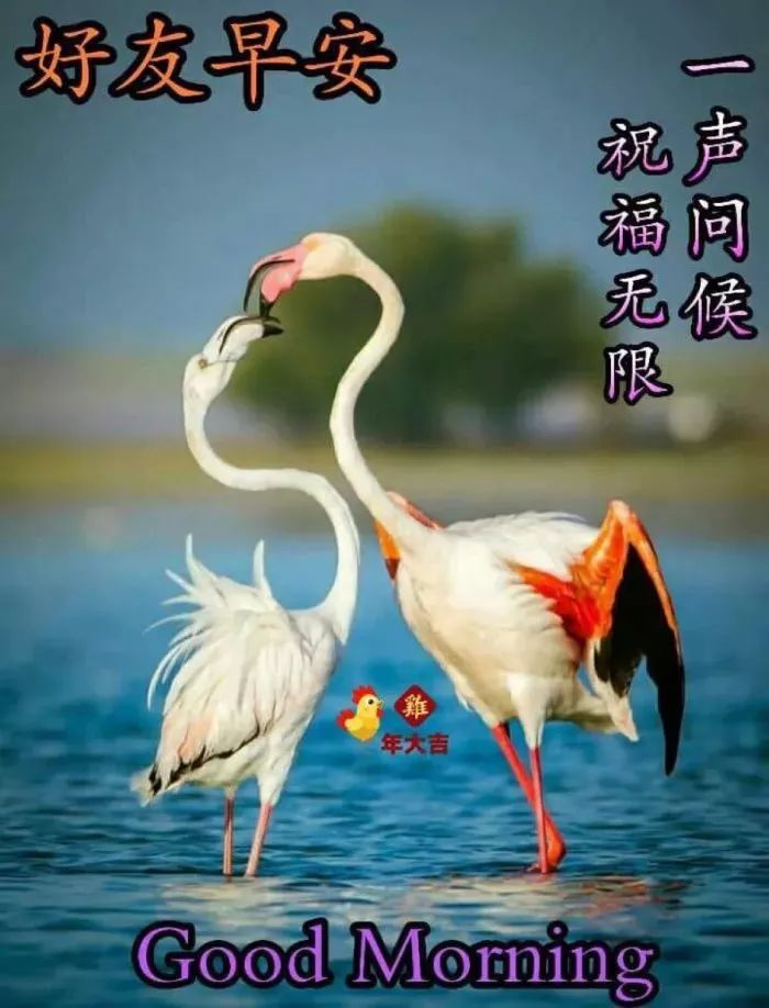 周三早上好祝福图片 朋友圈早安心语祝福语 再远的距离，祝福也会到图片