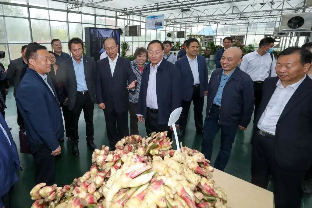 潍坊职业学院喜讯