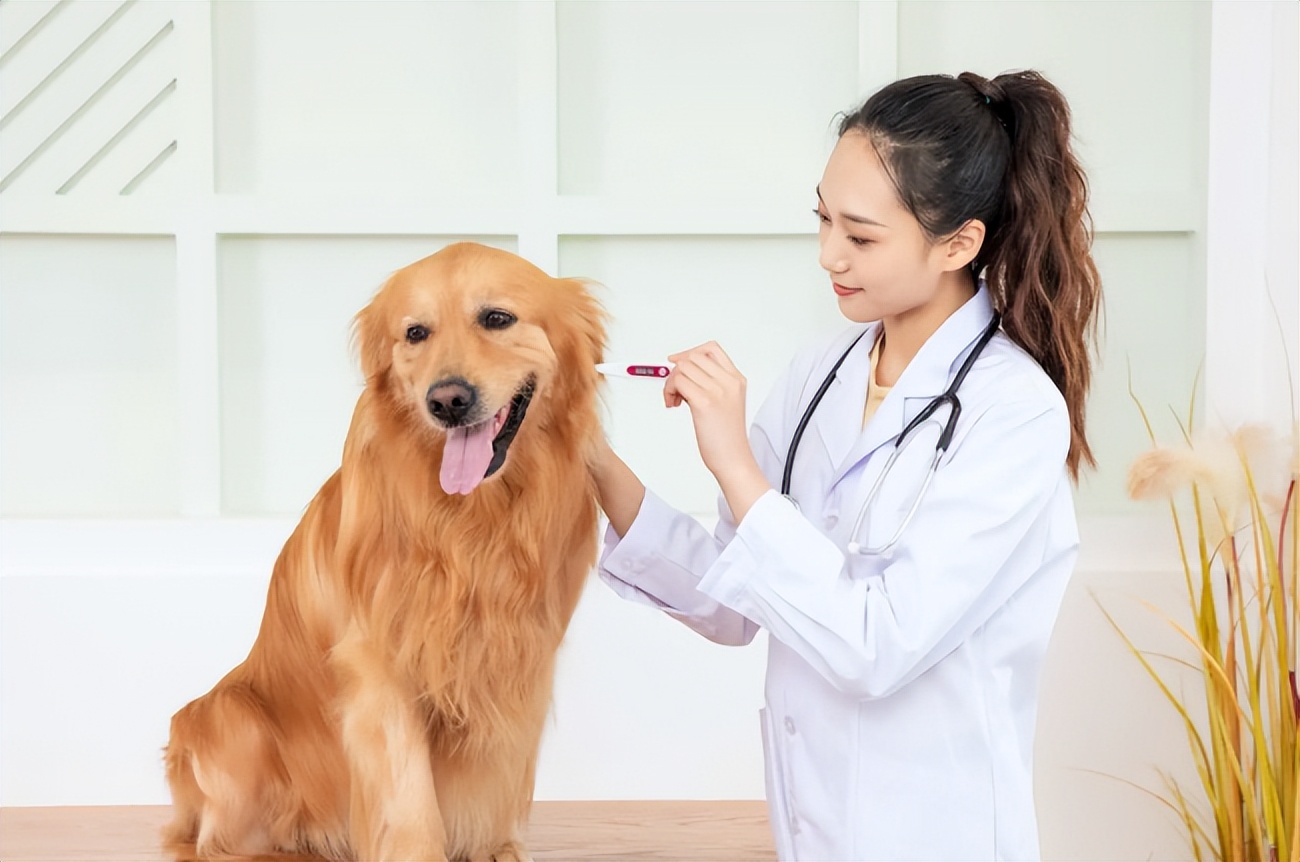 表面听起来很“冷门”的4个专业，实际上很好就业，考生可以看看