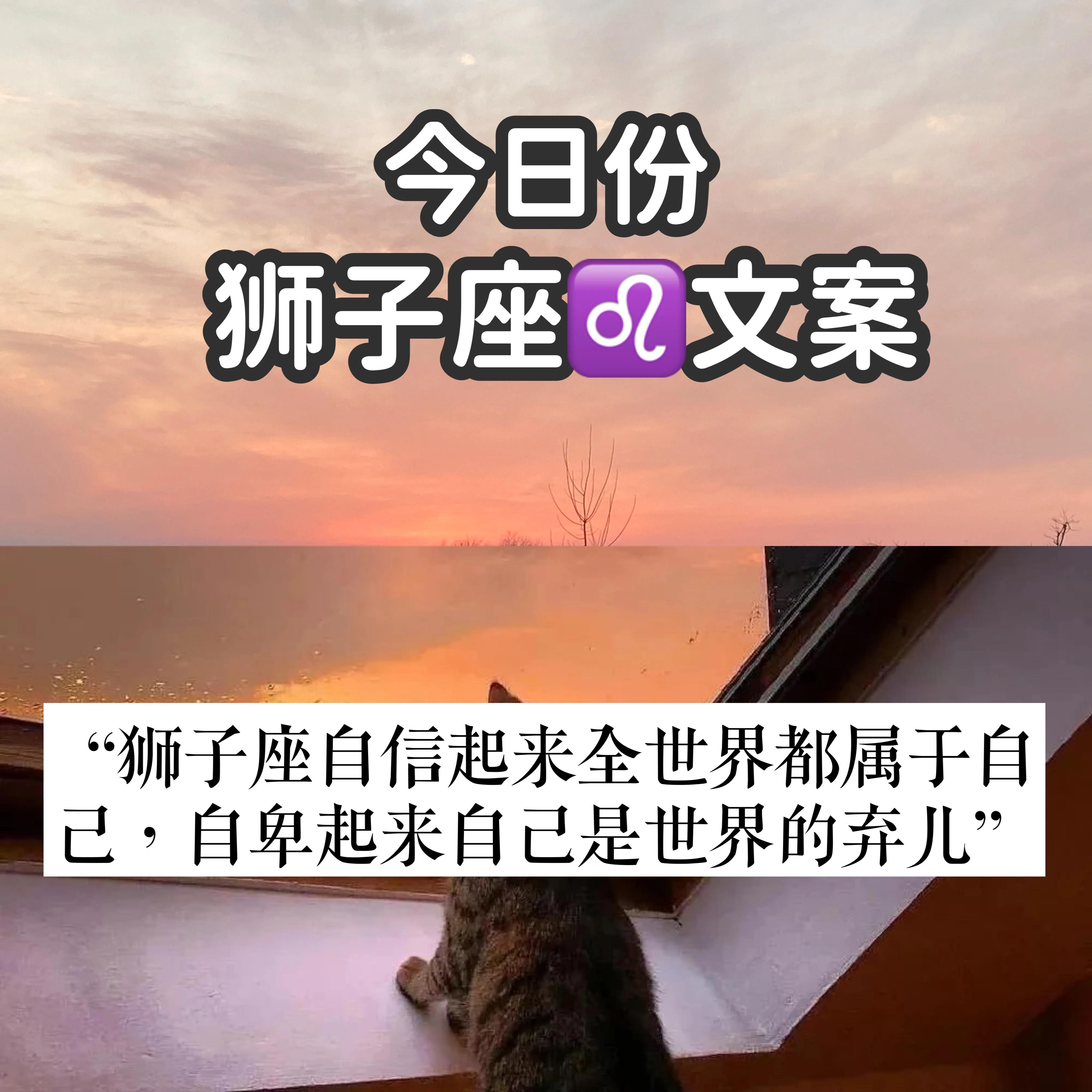 今日份 狮子座78文案
