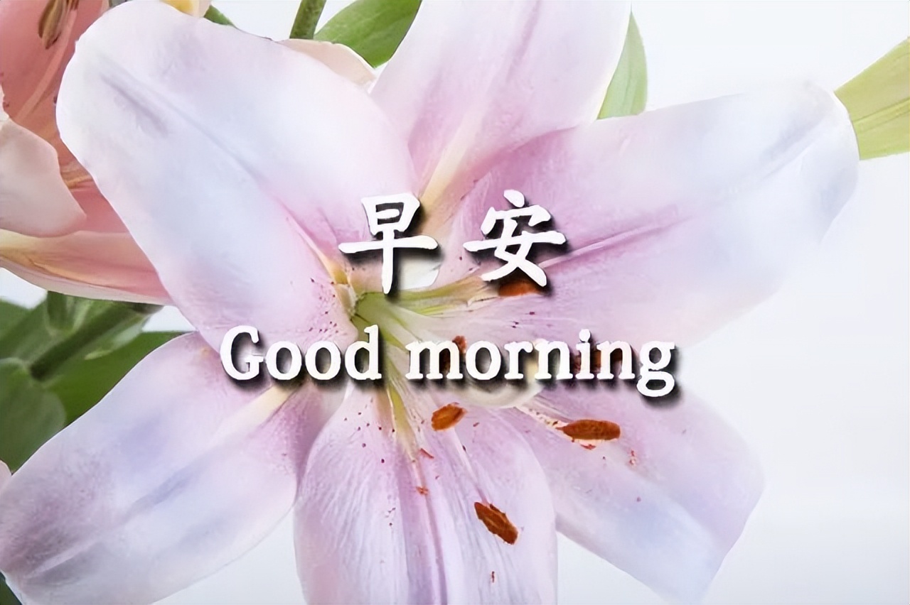 温馨的早上好问候图片 不辜负这美好的时光 想你的语言永远说不尽图片