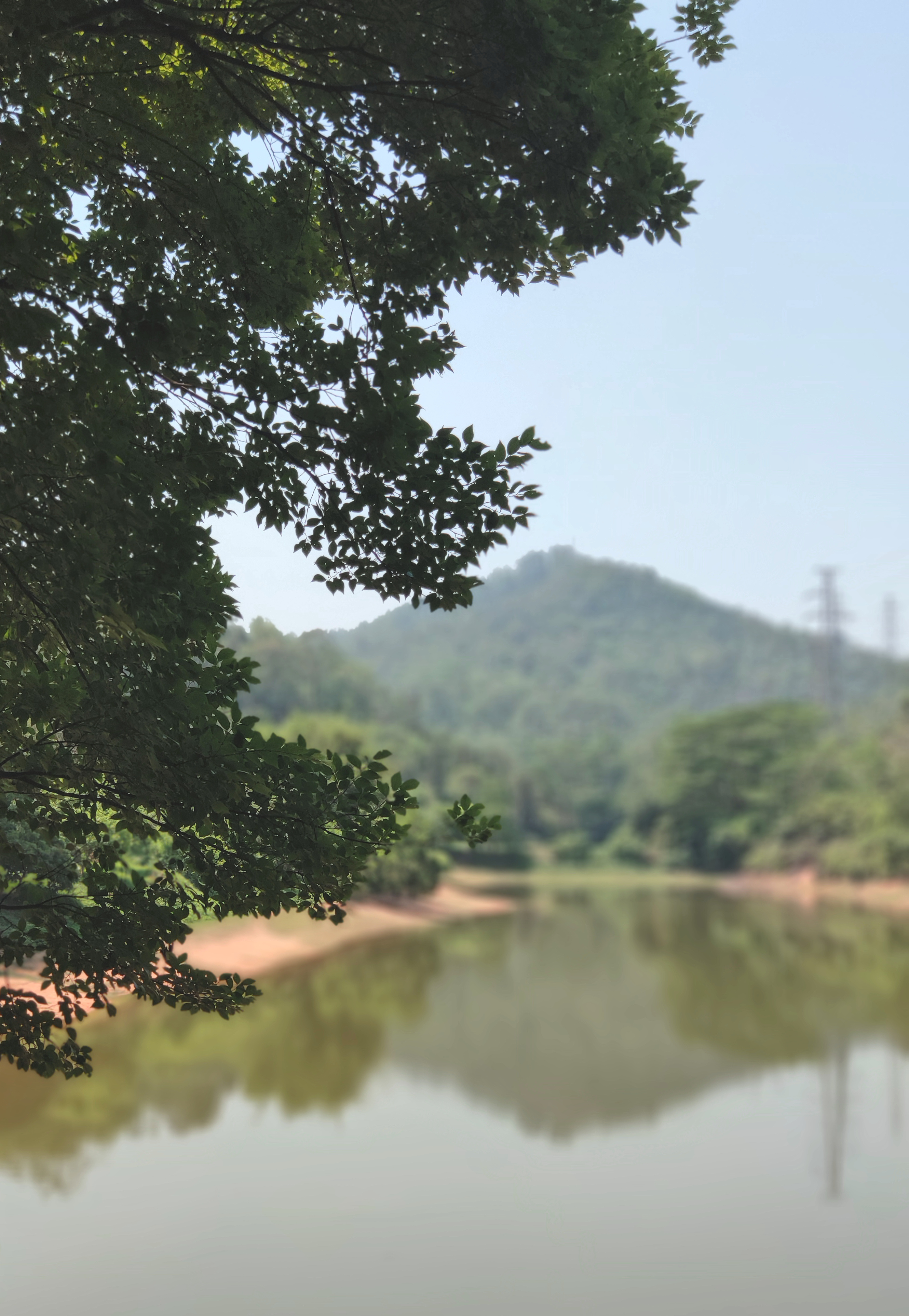 广州5个适合骑行又免费的扎营地