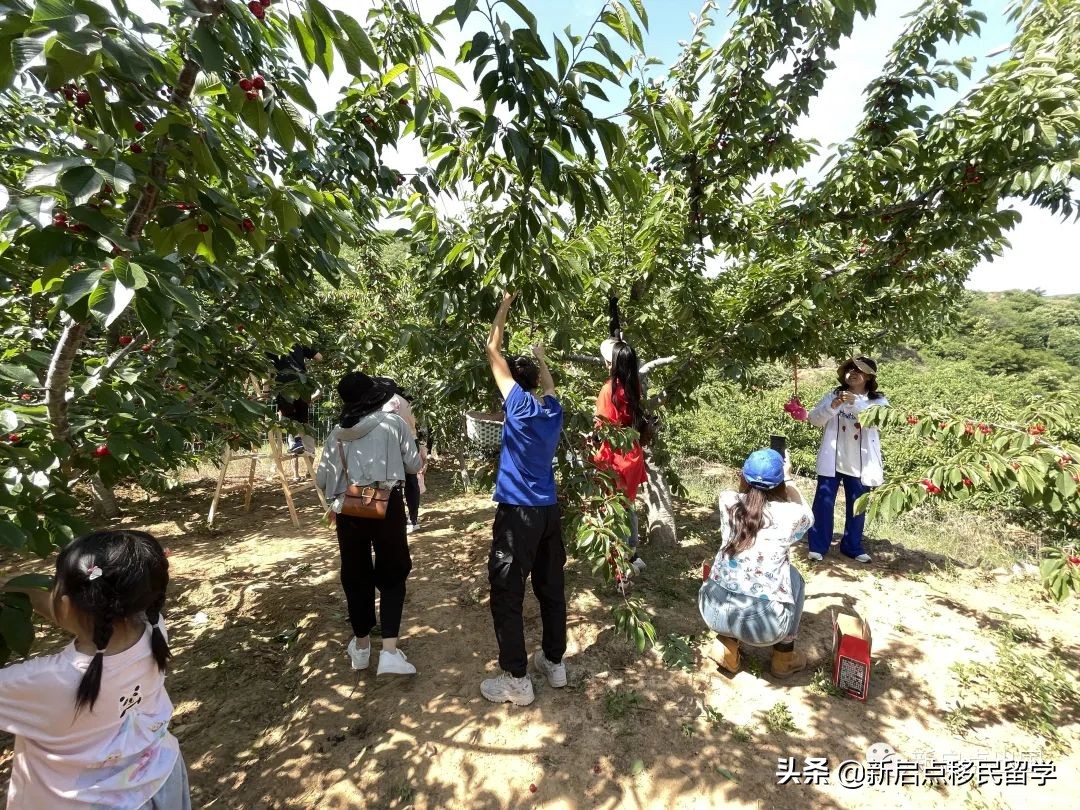 初夏限定丨新启点南部山区团建活动