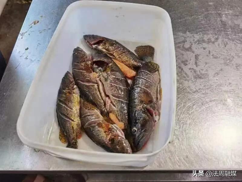 澧县查处一起经营无合法来源凭证的水产品案