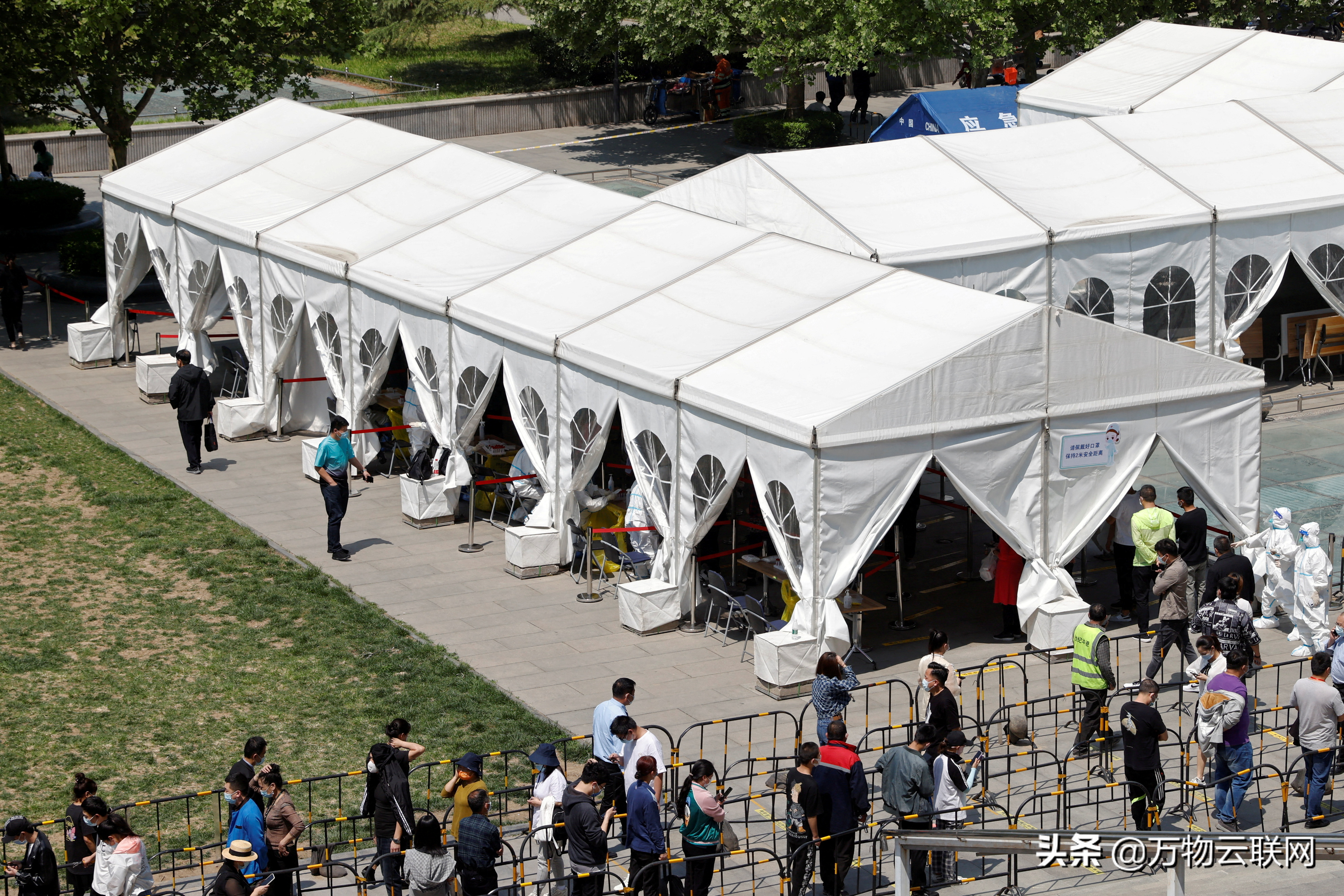 测试，测试，测试？科学家质疑昂贵的大规模COVID测试是否有用