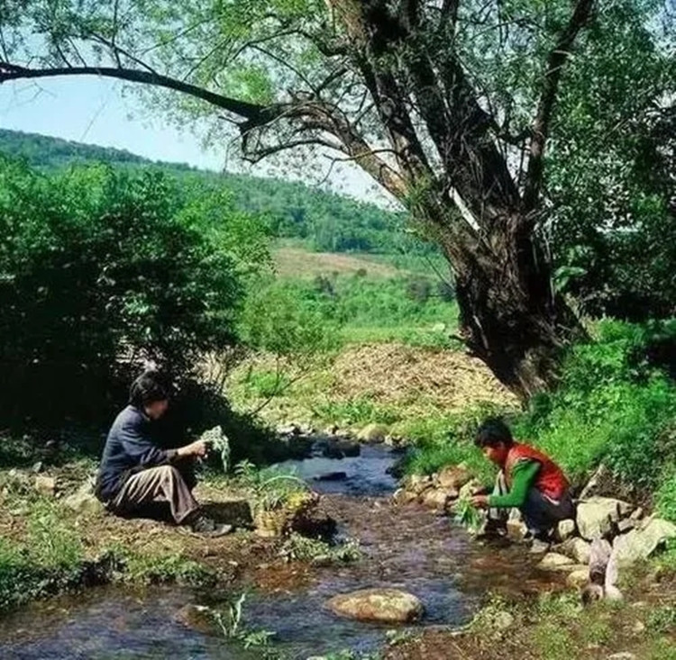 一条香烟多少包(在我眼中的70后：奔五的一代人，辛苦的一代人，也是无奈的一代人)