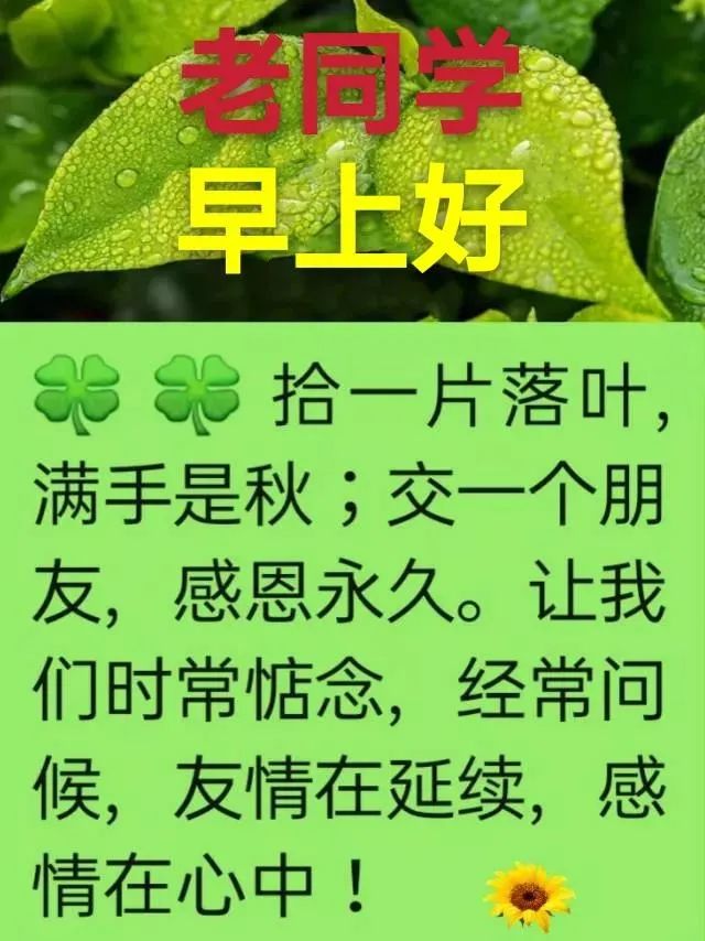 朋友圈星期四早上好问候语句子 微笑征服一切图片