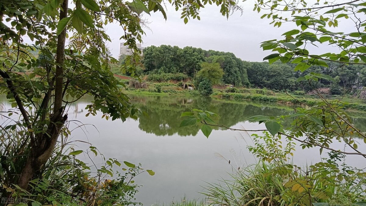 湖南科技大学2022年硕士研究生调剂复试办法