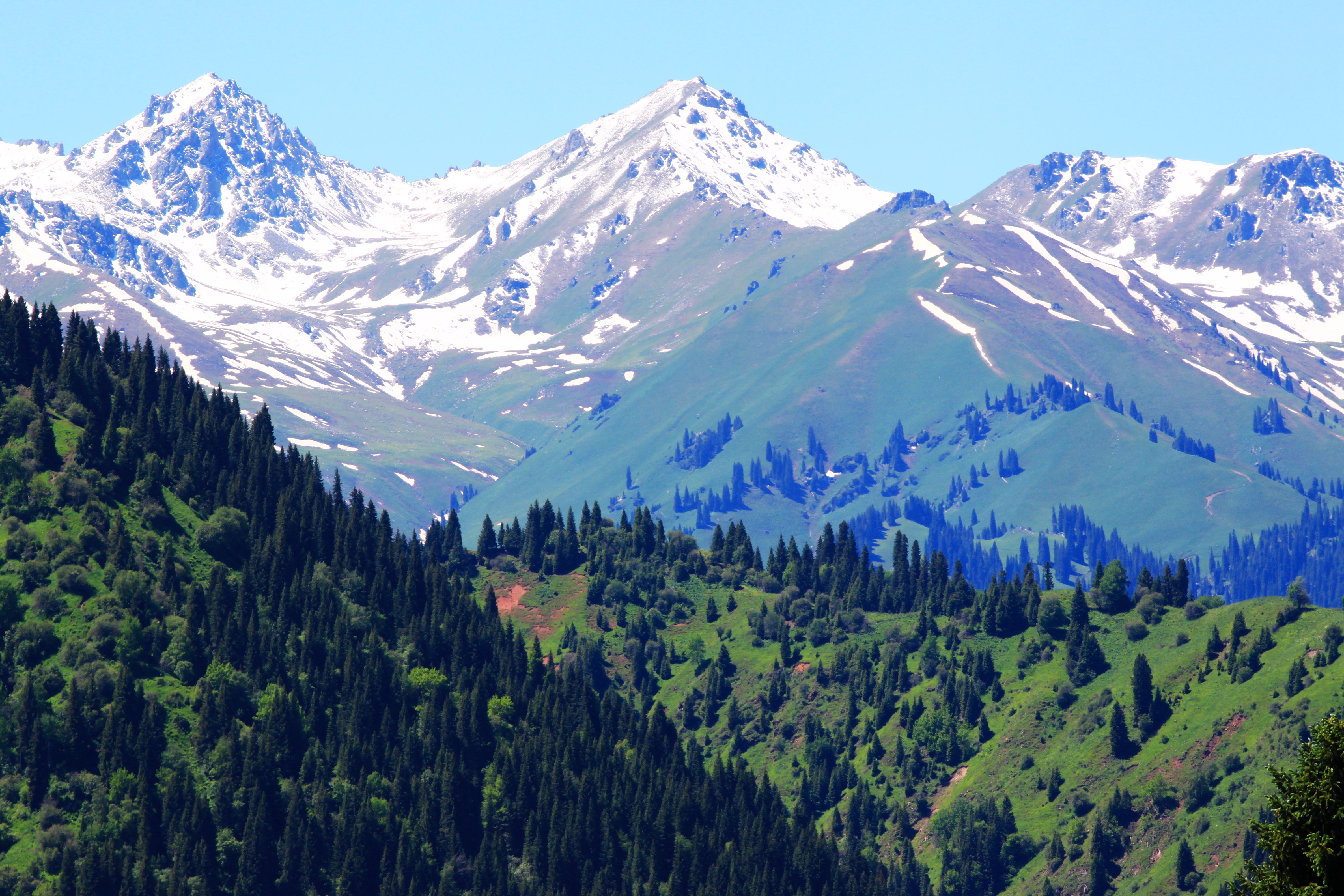 库尔德宁(游记)