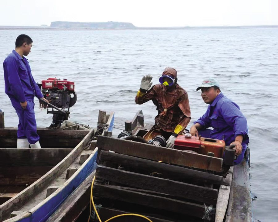 屡遭冒充！团体标准正在编制，大连海参要有电子身份证了