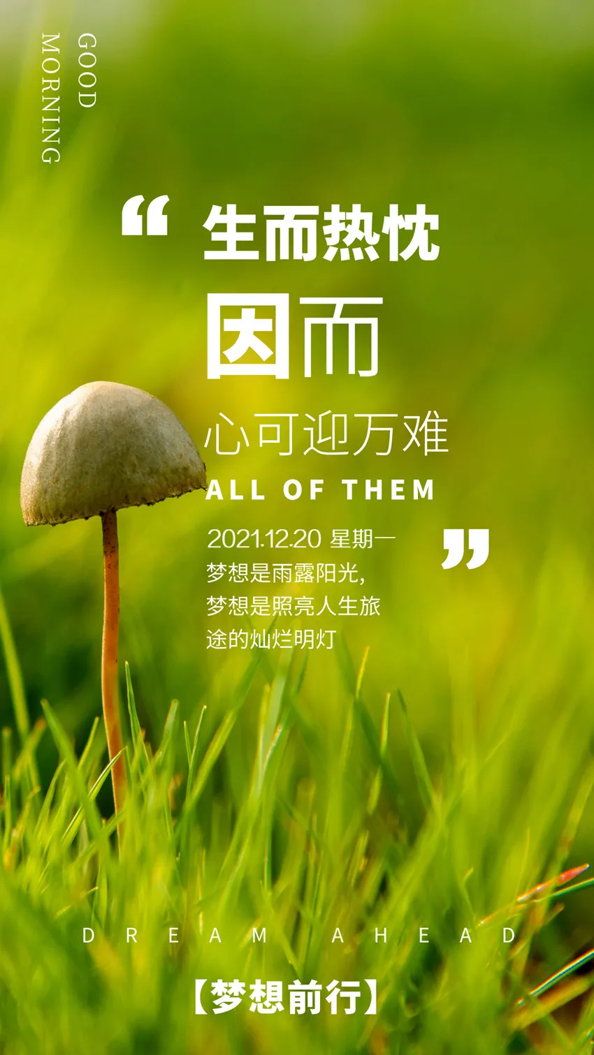 「2021.12.20」早安心语,正能量犀利语录句子,阳光的早上好图片