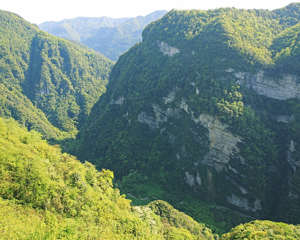 南川天山坪大峡谷简介图片