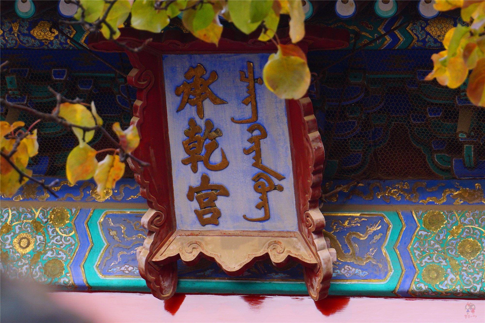 第一次游故宫的最佳路线，省钱省力还涨知识，收藏好
