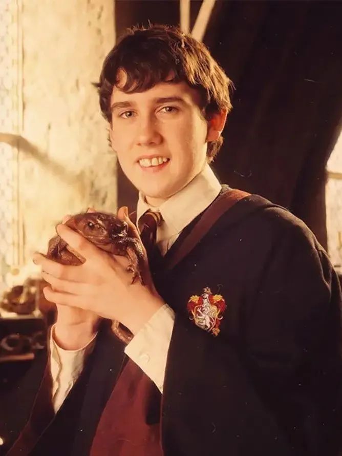 《哈利·波特》主要人物MBTI分析