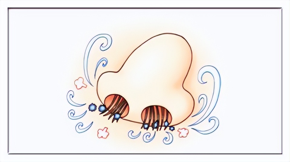 鼻毛往外窜的男性,有何与众不同?鼻毛变白又说明了什么问题呢?