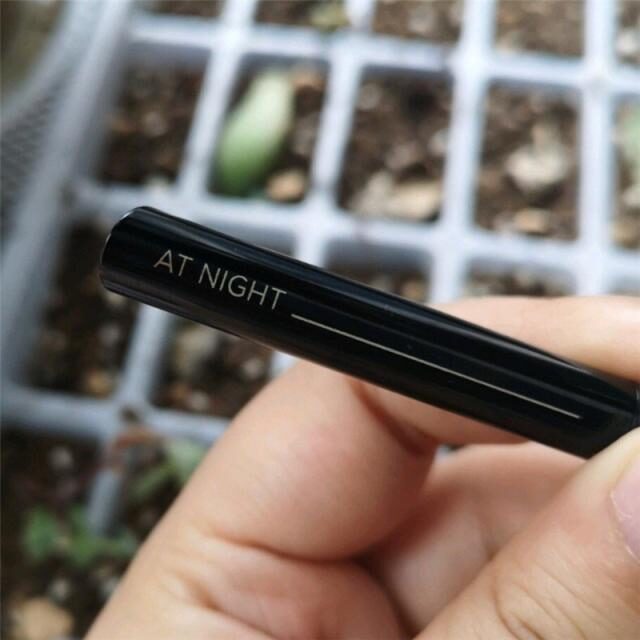 你缺一只夏季日常百搭不挑皮的口红吗？素颜都能涂的口红推荐