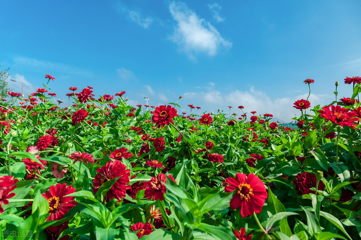 阳光正好,心情好的句子有哪些,3