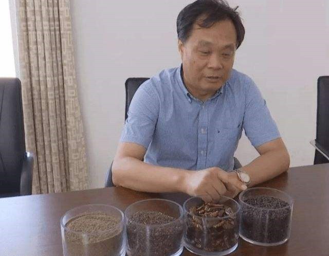 辞去公务员上山养蟑螂，10年养殖40亿只，李延荣如今收入百亿