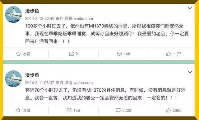 马航370(马航MH370遇难8年，239人仍是失踪状态，家属还没放弃)