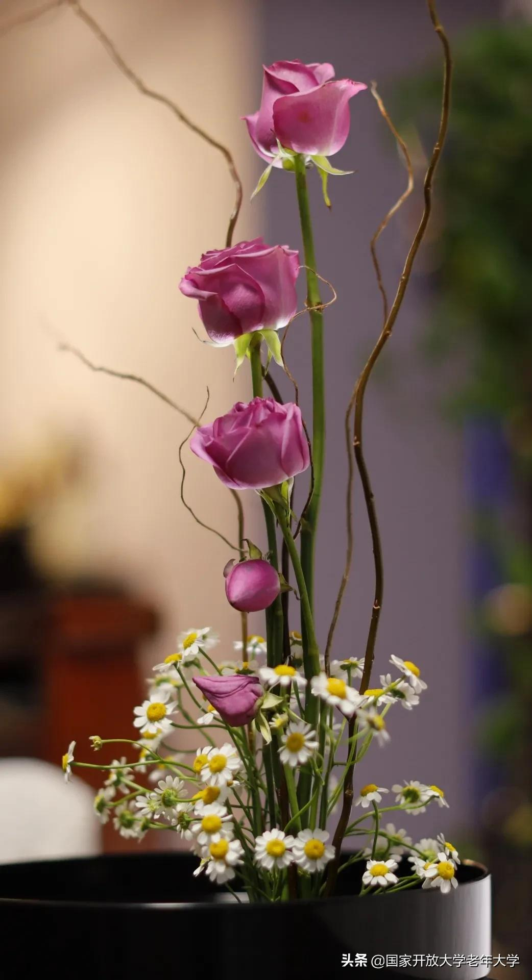 在校园·良作 | 不仅是艺术，更是生活！——《插花初级班》师生作品