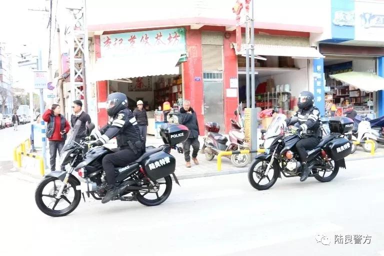 云南曲靖:陆良公安骑警“新名片”正式亮相