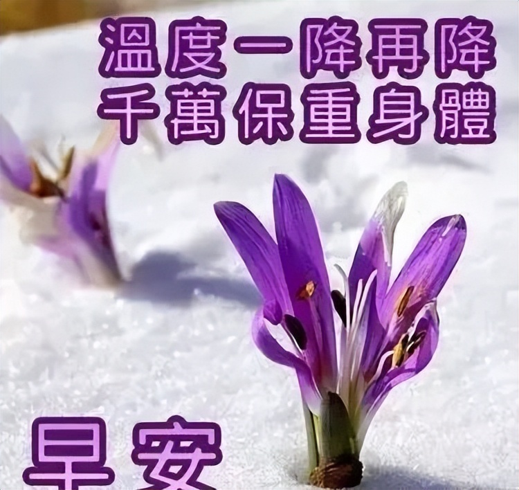 送给朋友的早上好祝福图片 问候早上好暖心语录 相遇最美、感谢有你图片