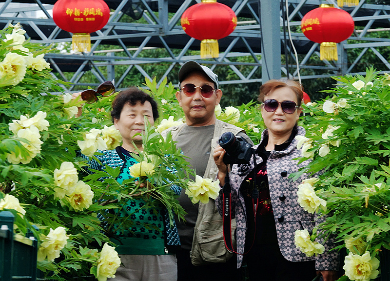 牡丹 未谢幕 芍药己盛开
