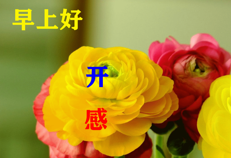 「2022.05.19」早安心语，正能量简单语录句子，治愈励志文案短句