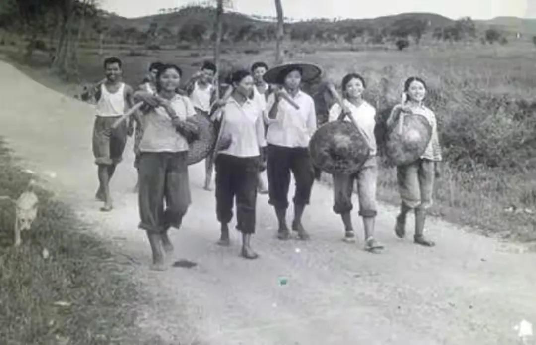 高考首位女状元：语文差1分满分，作文登人民日报，现发展如何？