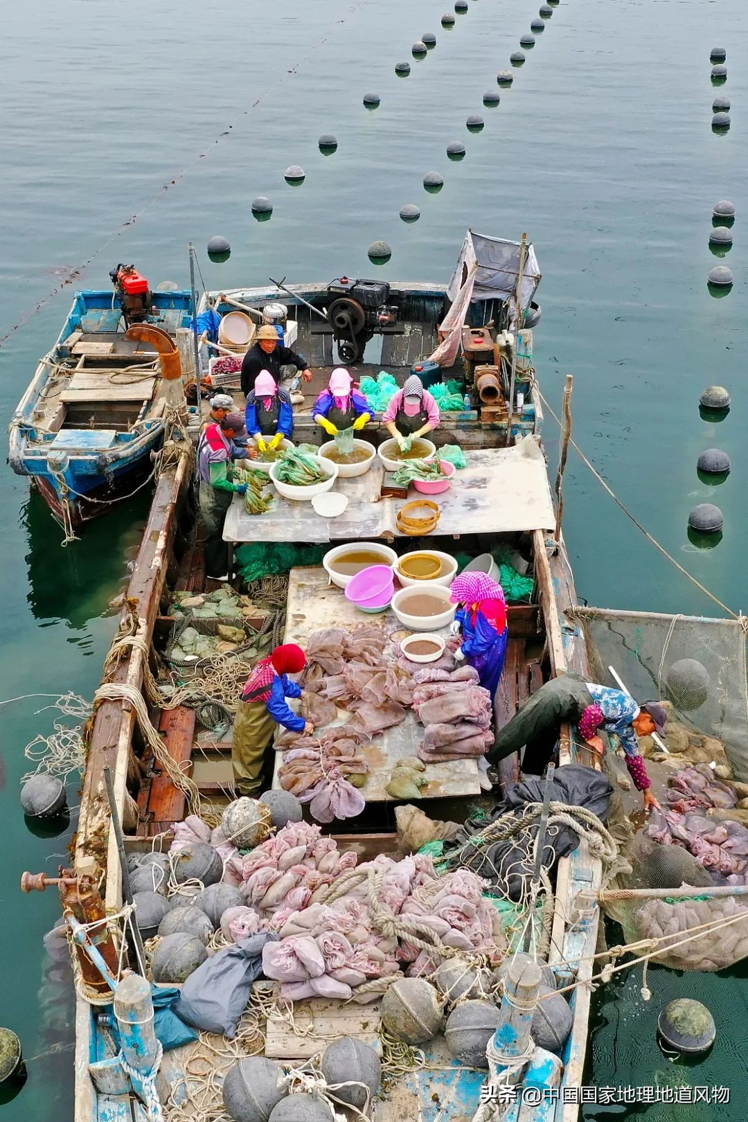 辽宁，被忽略的海鲜大省