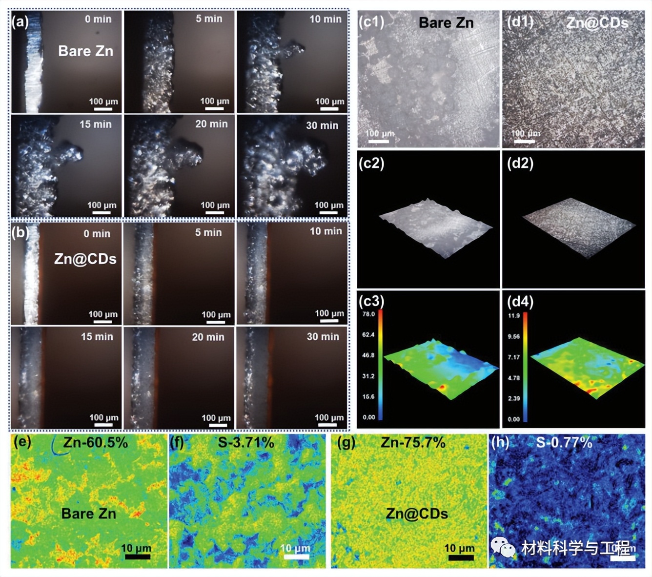 中南大学《AEM》：用于超稳定Zn电池的高产率碳点中间层